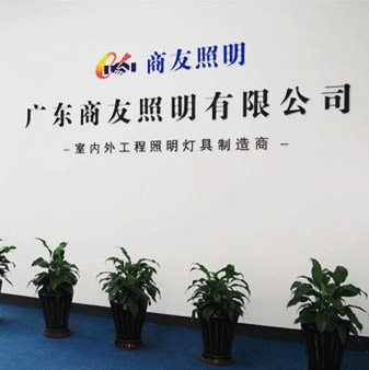 九游在线注册,九游（中国）|室内/户外工程照明,路灯,景观照明,工厂照明节能改造专家